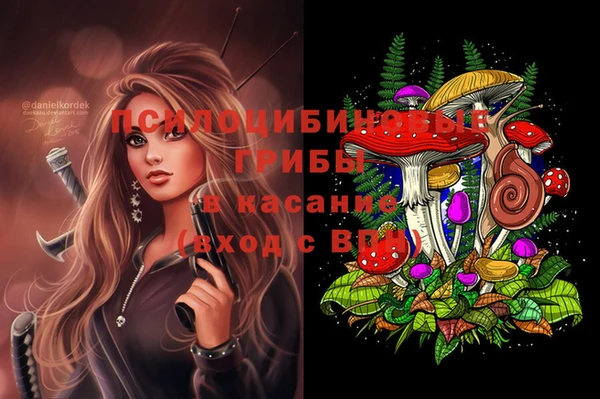 спиды Новозыбков