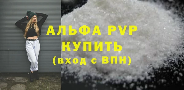 спиды Новозыбков
