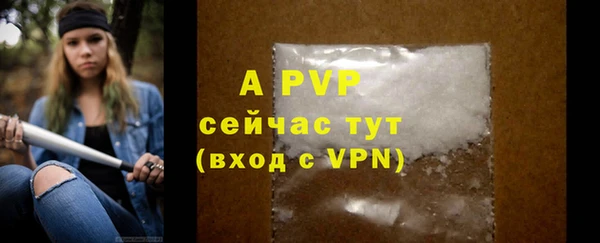 спиды Новозыбков