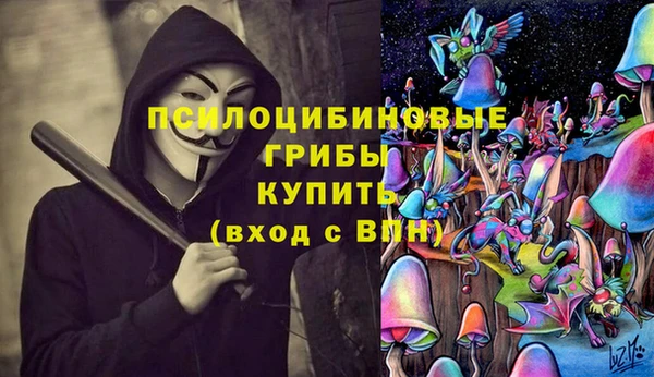 спиды Новозыбков
