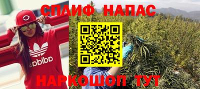 PSILOCYBIN Тулун