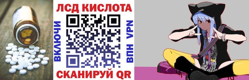 дарнет шоп  Ртищево  Лсд 25 экстази ecstasy 