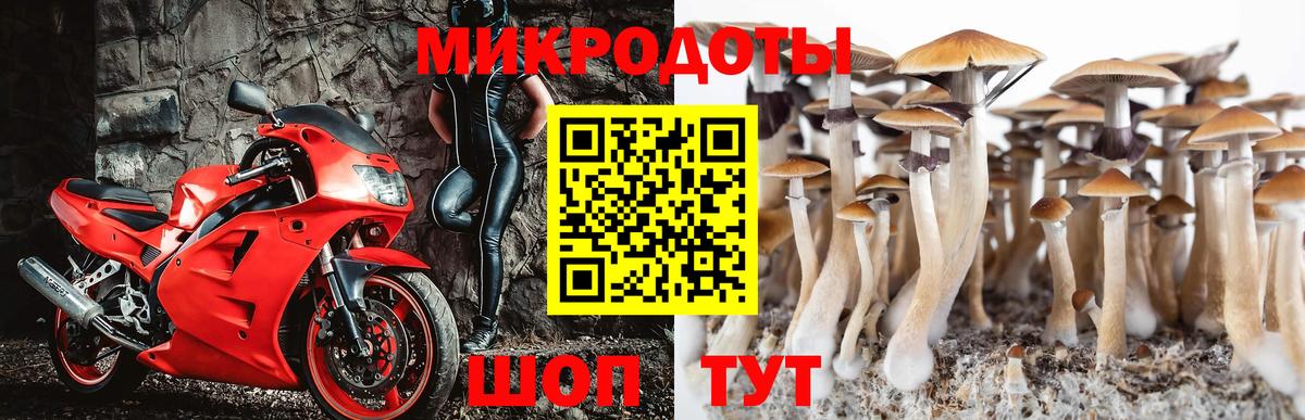Галлюциногенные грибы мицелий Ртищево
