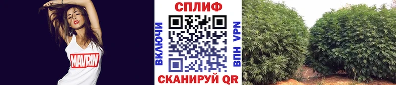 блэк спрут ТОР  Ртищево  Канабис Ganja 